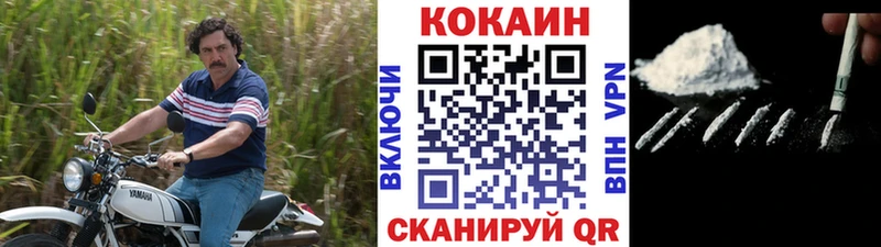 COCAIN Fish Scale  MEGA ТОР  Ревда 